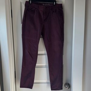 GAP Women's Deep Purple Straight Leg Jeans